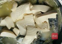 豆腐黑鱼汤的做法图解10