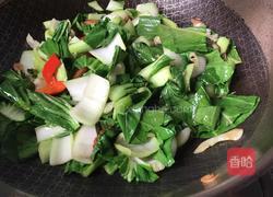 小炒青菜的做法图解9
