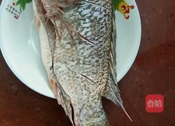 家常罗非鱼的做法图解1