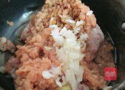 马哈鱼猪肉水饺的做法图解7