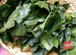 榨菠菜汁（非即食）的做法图解1