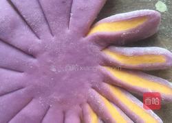 野菊花（配刺猬）的做法图解15