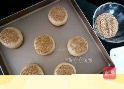 汉堡胚（波兰种poolish）的做法图解11