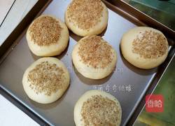 汉堡胚（波兰种poolish）的做法图解13