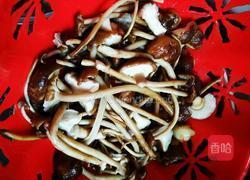 双菇烧肉的做法图解8