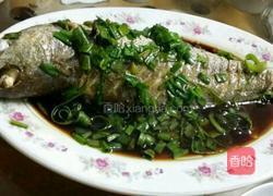 红烧鮸鱼的做法图解4