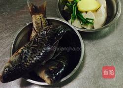 奶汤鲫鱼的做法图解1