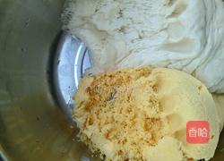 玉米面金银卷的做法图解4