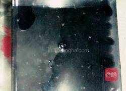 瓜丁黑豆的做法图解1