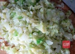 猪肉包心菜饺子的做法图解5