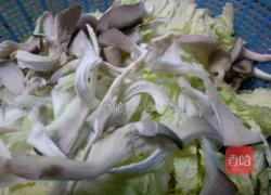  白菜炒腐竹的做法图解2