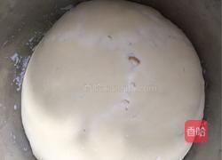 牛肉粒洋葱披萨的做法图解5