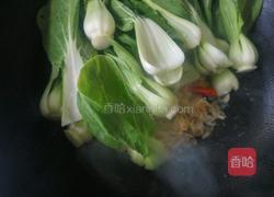 青菜炒虾皮的做法图解5
