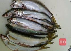 菜油煎洞庭湖油叼子鱼的做法图解1