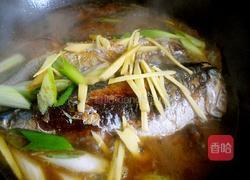 红烧鲅鱼的做法图解4