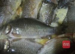 小鲫鱼汤的做法图解4