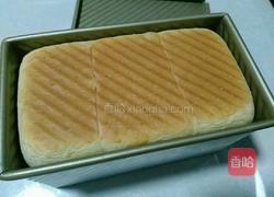 全麦土司面包的做法图解11