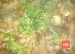 猪肉白菜炖粉条的做法图解14