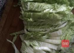 猪肉白菜炖粉条的做法图解3