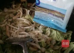 猪肉白菜炖粉条的做法图解8