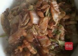猪肉白菜炖粉条的做法图解15