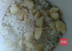 红枣苹果绿茶粥的做法图解3