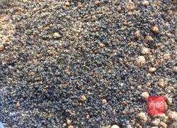 核桃芝麻糖三角的做法图解6