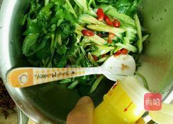 凉拌黄瓜的做法图解7