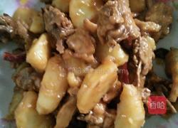 土豆炖鸡肉的做法图解10