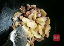 土豆炖鸡肉的做法图解6
