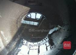 香鸭掌的做法图解4