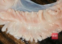 青椒炒生肠的做法图解3