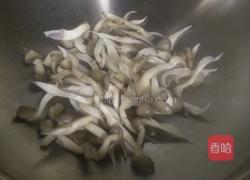 白菜菌菇的做法图解4