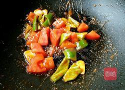 番茄汁烧鸡肉丁的做法图解9