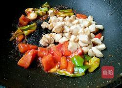 番茄汁烧鸡肉丁的做法图解10