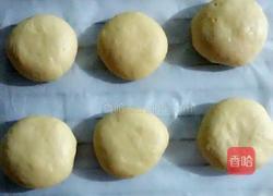 椰蓉小面包的做法图解8