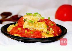 西红柿炒鸡蛋的做法图解11