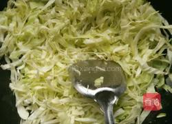 家常平包菜的做法图解4