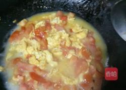 西红柿炒蛋盖饭的做法图解4