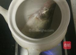 砂锅煲桂鱼面汤的做法图解5