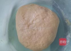 小动物饼干的做法图解2