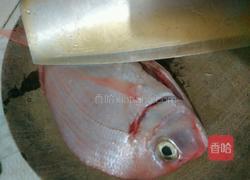 清蒸红立鱼的做法图解1