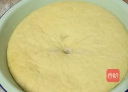 南瓜发面饼的做法图解4