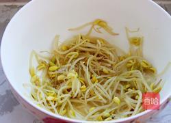 拌黄豆芽的做法图解4