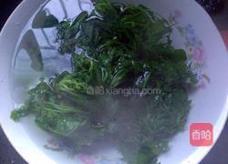 荠菜大馄饨的做法图解4