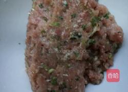 荠菜肉丸子的做法图解3