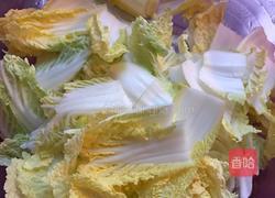 白菜猪肉炖粉条的做法图解3