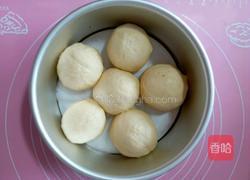紫薯馅椰蓉酸奶小面包的做法图解7