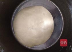 牛角肉松面包的做法图解3