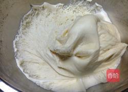 牛角肉松面包的做法图解6